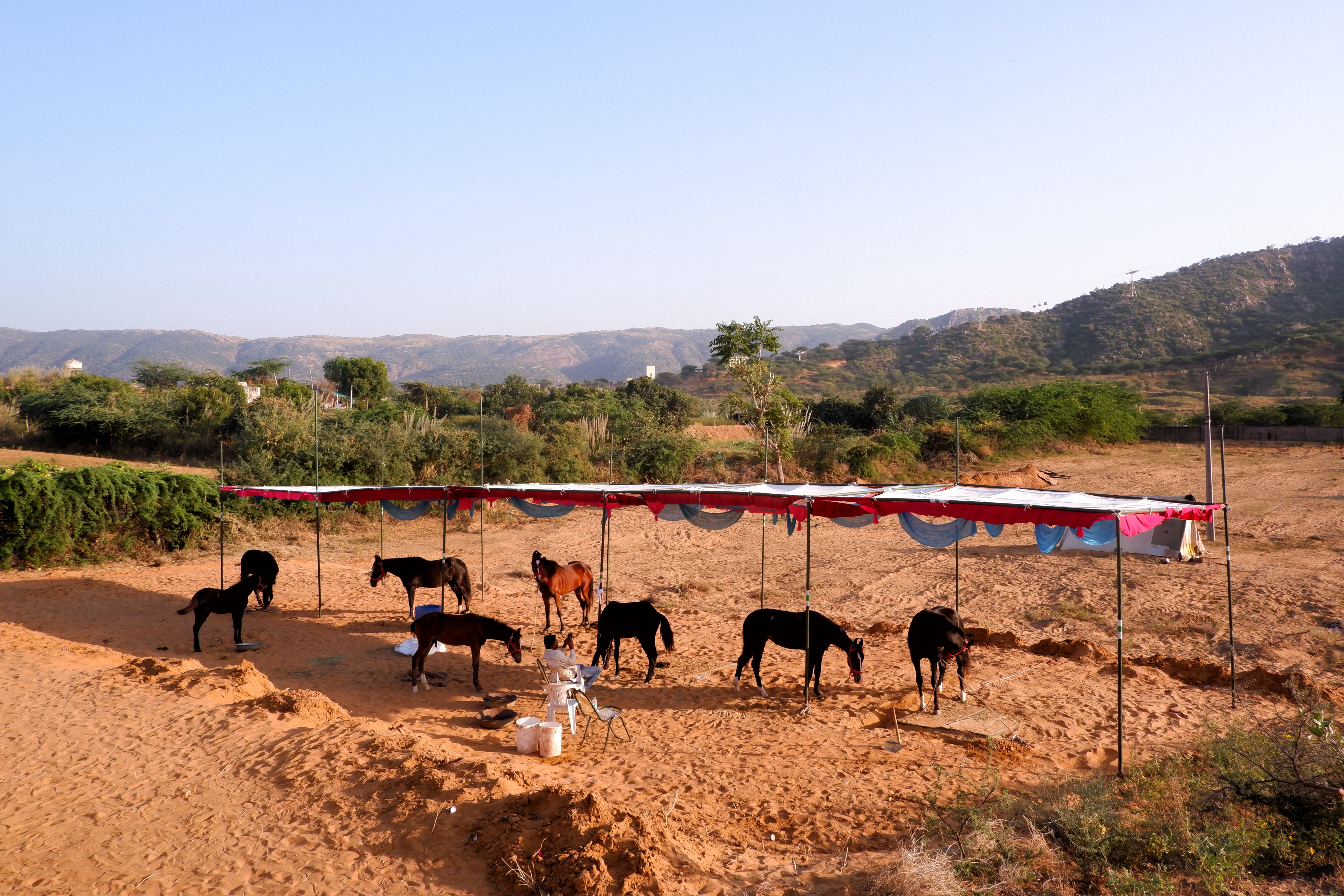 Life in Pushkar photograph 17